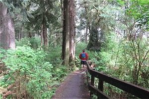 Hiking trail